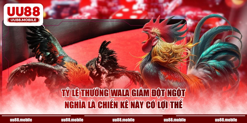 Tỷ lệ thưởng Wala giảm đột ngột nghĩa là chiến kê này có lợi thế